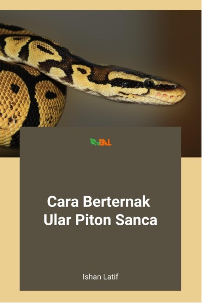 Cara Berternak Ular Piton Sanca